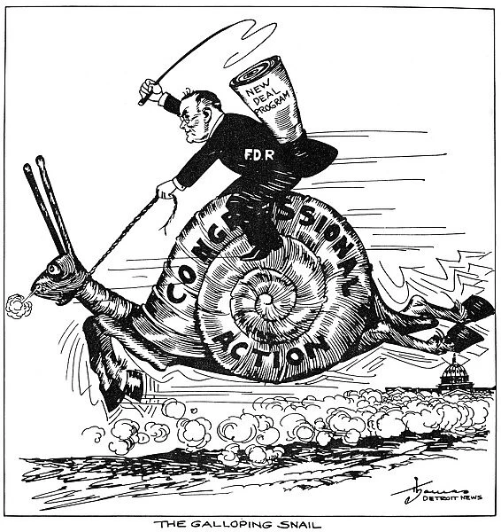 F. D. Roosevelt Cartoon