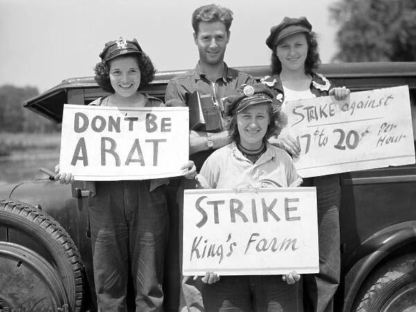FARM STRIKE, 1938. The picket line at the King Farm strike in Morrisville, Pennsylvania