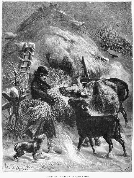 FARMER, 1873. Christmas in the fields. Wood engraving, 1873, by Charles Maurand