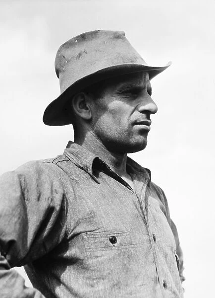 FARMER, 1941. Mr. Leo Longamore, formerly a farm laborer, now living on a new farm