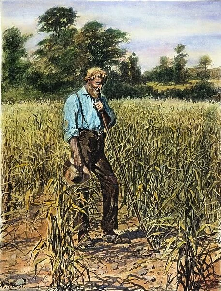 A FARMERs PRAYER FOR RAIN. Drawing, 1894, by Arthur Burdett Frost