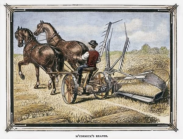 FARMING: HARVESTING. Harvesting grain with one of Cyrus Hall McCormicks reapers. Wood engraving, American, 1884