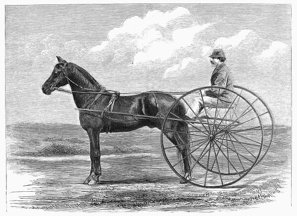 The fast trotting horse Ethan Allen. Wood engraving, 1867