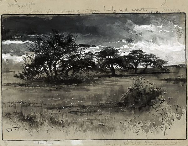 FENN: THORN-TREES, c1887. Thorn-trees near Niagara. Wash drawing by Harry Fenn, c1887
