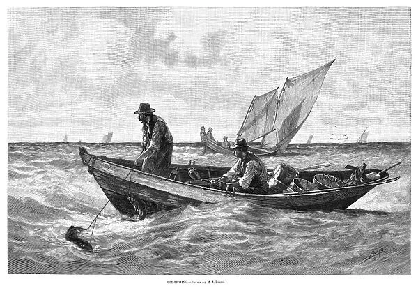 FISHING, 1885. Cod-fishing. Engraving after a drawing by M. J. Burns, 1885