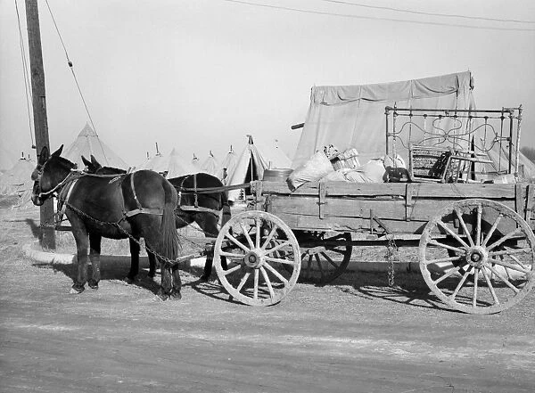 FLOOD REFUGEES, 1937. Household goods of a family moving into the camp for flood