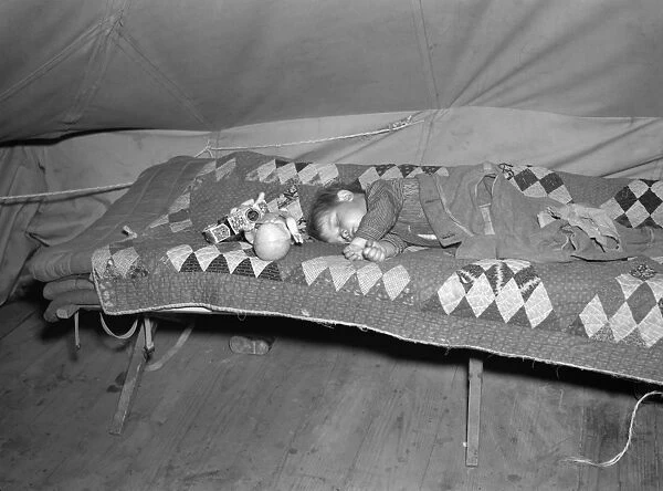 FLOOD REFUGEES, 1937. A young flood refugee taking a nap at Tent City near Shawneetown, Illinois