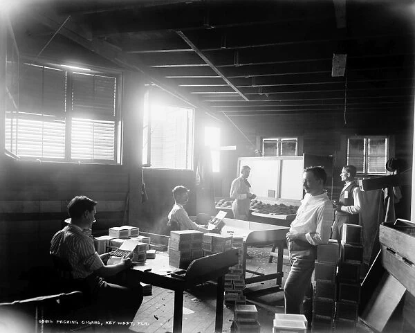 FLORIDA: CIGAR FACTORY. Workers packing cigars at a factory in Key West, Florida