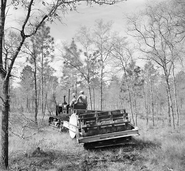 FLORIDA: LAND USE, 1937. A tractor clearing brush to prepare the ground for seed planting