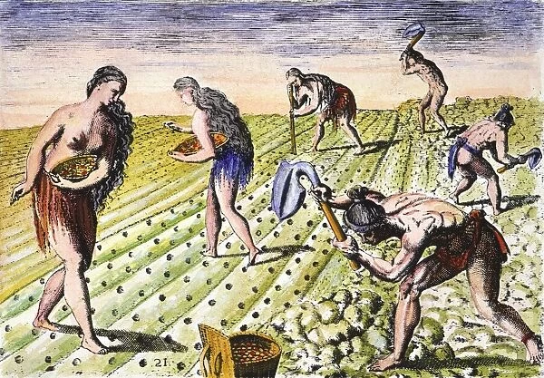 FLORIDA NATIVES, 1591. Florida Native Americans tilling and planting. Line engraving, 1591, by Theodor de Bry after a now lost drawing by Jacques Le Moyne de Morgues