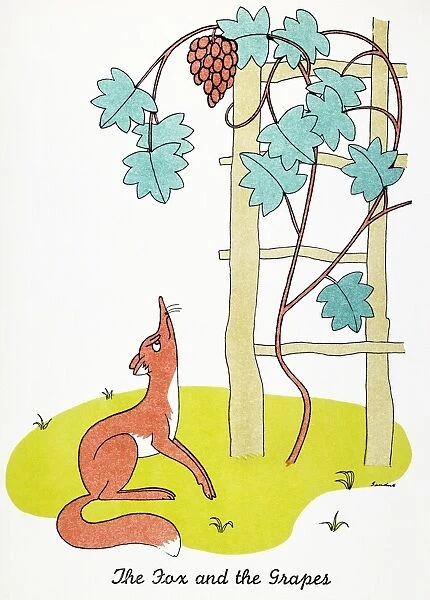 The Fox and the Grapes. Drawing by Christopher Sanders of the most famous of Aesops Fables