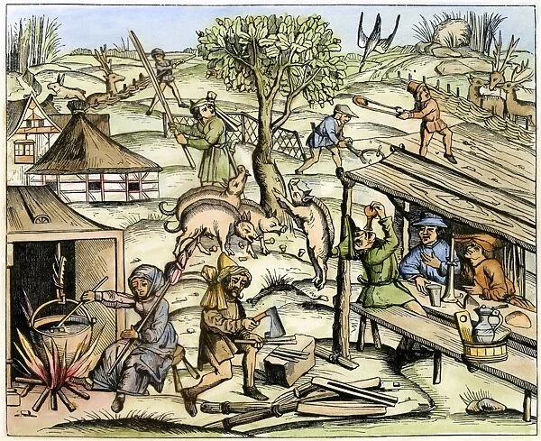 FRANCE: DAILY LIFE, 1517. Country life. Woodcut, French, 1517
