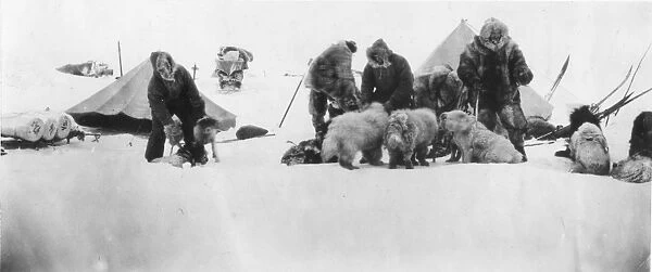 FRIDTJOF NANSEN (1861-1930). Norwegian arctic explorer and statesman. Nansens 1893-96 polar expedition making ready for a start on a sledge as they leave the expeditions ship Fram