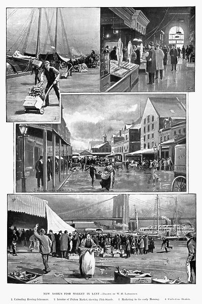 FULTON FISH MARKET. New Yorks fish market in Lent. Illustrations by W. H. Lawrence
