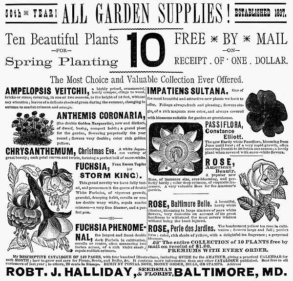 GARDEN SUPPLIES AD, 1887. American advertisement, 1887