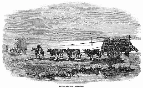 GAUCHOS, 1858. Ox-Cart Travelling the Pampas in Argentina. Wood engraving, English, 1858