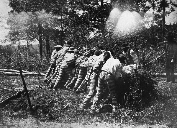 GEORGIA: CHAIN GANG, 1892. African American prisoners on a chain gang do work while