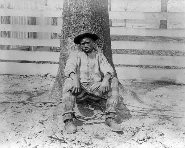 GEORGIA: CHAIN GANG. African American man sitting against a tree with legs chained