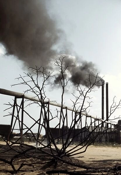 GEORGIA: SAW MILL, 1941. Smokestacks spewing smoke at the Greensboro Lumber Co