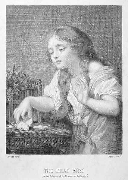 GIRL AND BIRD. The Dead Bird. Steel engraving, American, 19th century, after a painting, c1760, by Jean Baptiste Greuze