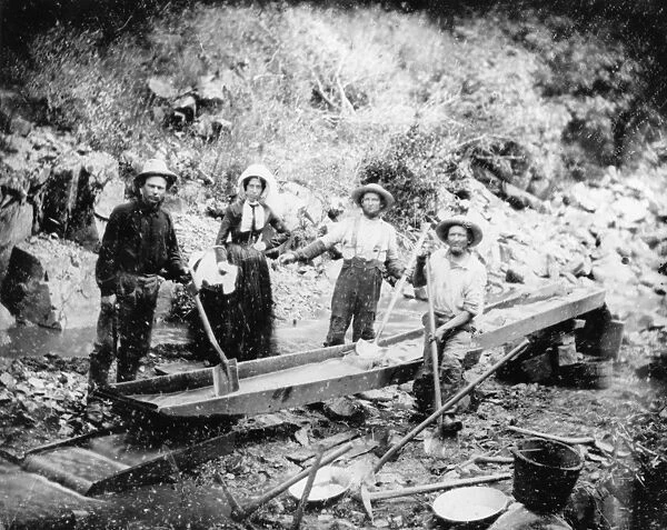 GOLD RUSH, 1852. Prospectors at Auburn Ravine in California
