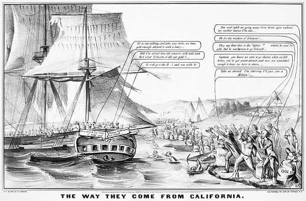 GOLD RUSH CARTOON, 1849. The Way They Come from California