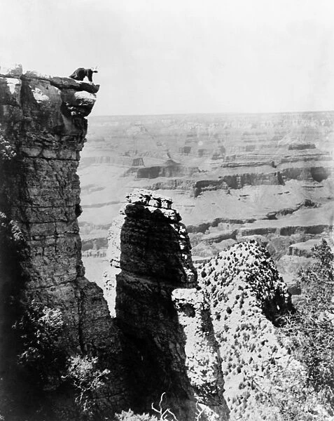 GRAND CANYON, c1907. A woman on the edge of Grand View Point overlooking the Grand