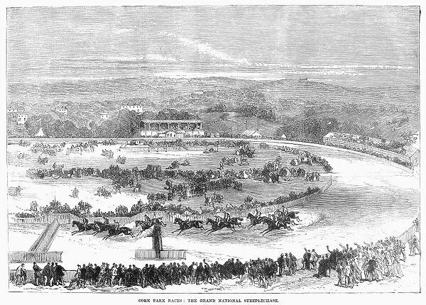 The Grand National Steeplechase at Cork Park Races, Ireland. Wood engraving, 1869