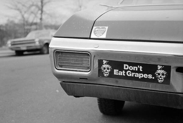 GRAPE STRIKE, 1970. A bumper sticker in support of workers on strike against grape