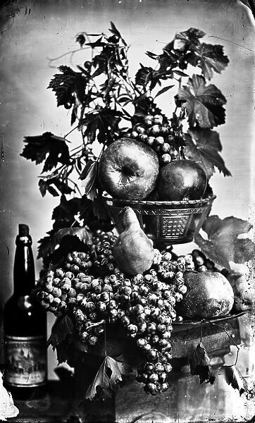 Grapes, fruit, and wine produced by Peter Britt (horticulturalist, vintner, photographer, and pioneer) on his estate at Jacksonville, Oregon. Photographed by Britt, 19th century