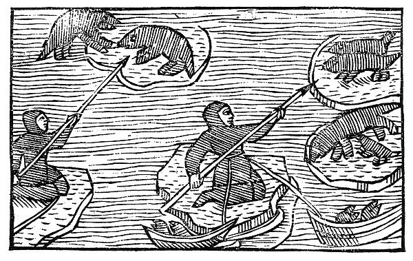 GREENLAND ESKIMOS, 1555. Eskimos sealing among ice-floes in Greenland