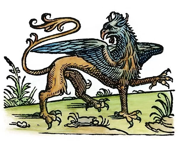 GRIFFIN, 1533. Woodcut, 1533, from a French signet