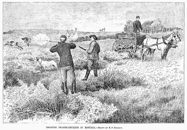 GROUSE HUNTING, 1885. Shooting prairie chickens in Montana. Wood engraving, American, 1885