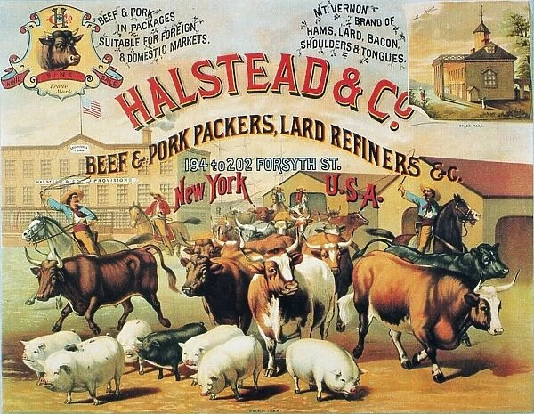 HALSTEAD & CO. 1886. Lithograph advertising poster for Halstead & Co. Beef and Pork Packers, 1886
