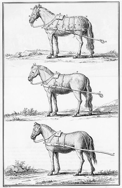 HARNESSES, 18th CENTURY. Three different types of harnesses for horse-drawn carriages