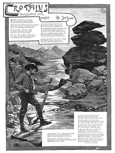 HARTE: CROTALUS, 1887. Crotalus: Rattlesnake Bar, Sierras. Illustrated poem by Bret Harte