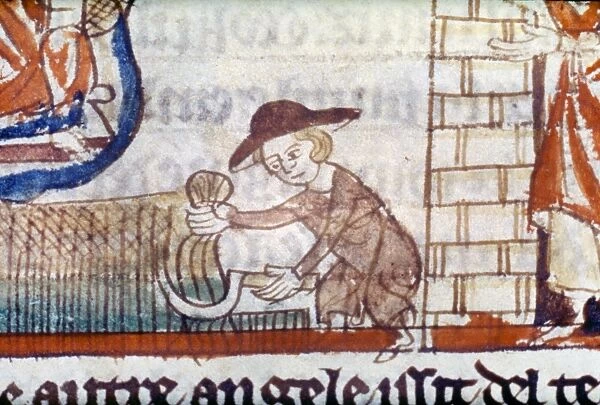 HARVESTING, 14th CENTURY. Harvesting with a sickle. English manuscript illumination