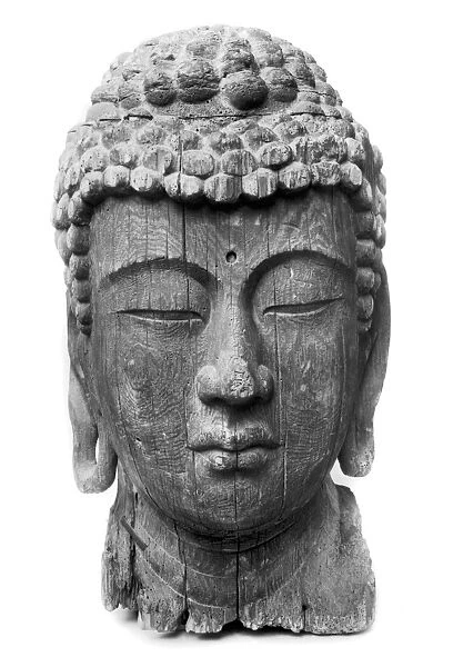 Head of Amida Buddha. Wood, formerly painted. Japanese, late 12th century. Heignt: 38. 5 inches