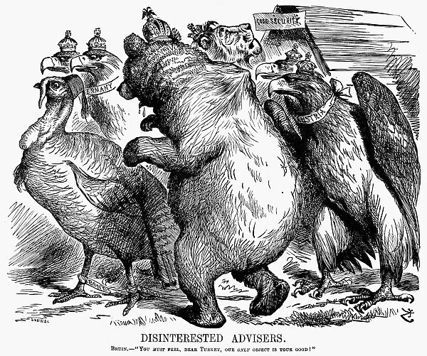 HERZEGOVINA CARTOON, 1875. Disinterested advisers. Bruin - You must feel, dear Turkey