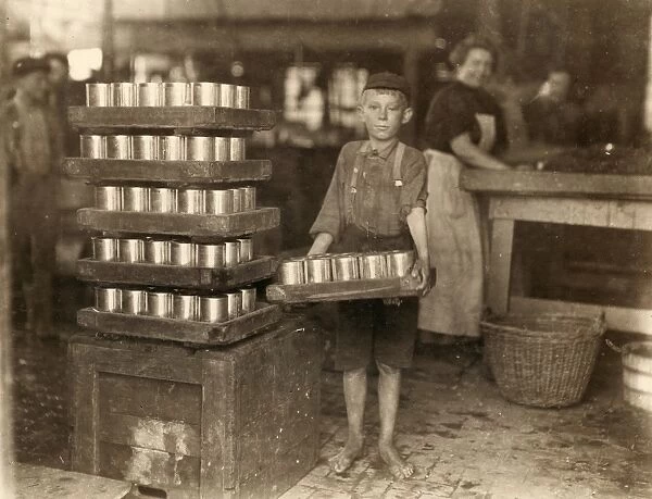 HINE: CHILD LABOR, 1909. One of the young workers at the J