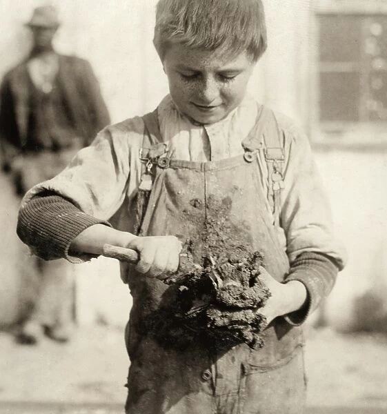 HINE: CHILD LABOR, 1913. A young oyster shucker at the Varn & Platt Canning Co