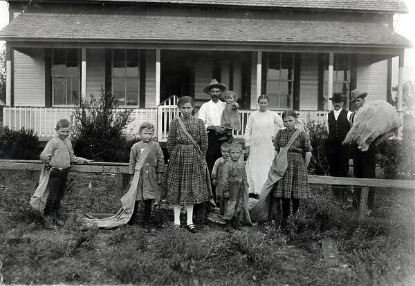 HINE: FARM OWNERS, 1913. The Sulak family on their cotton farm near West, Texas