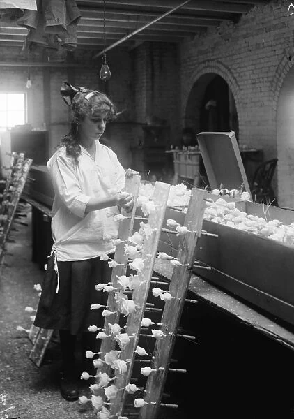HINE: FLOWER FACTORY, 1917. 14-year-old Margaret Ciampa working at the Boston Floral