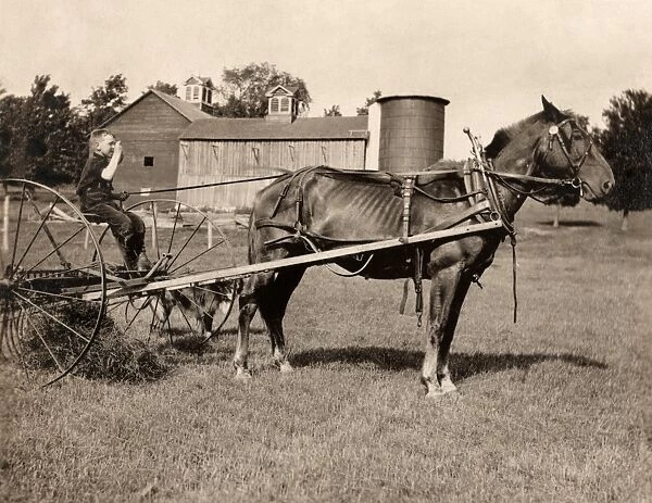 HINE: MOWING, 1915. An eight-year old boy driving a horse rake used for mowing farmland