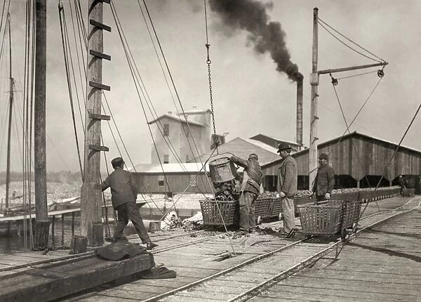HINE: OYSTER FISHING, 1911. Workers unloading oysters on the dock at the Alabama Canning Co