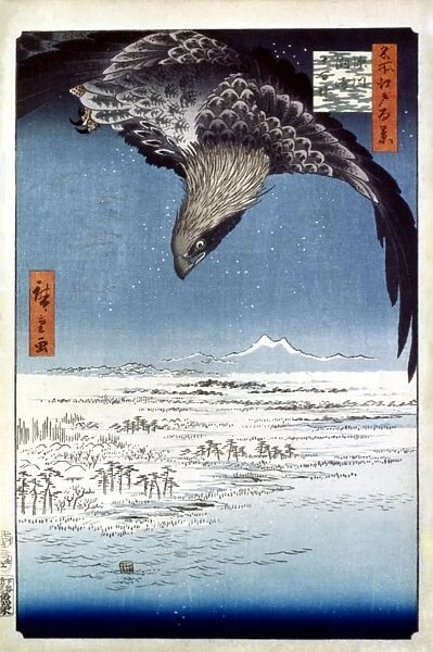 HIROSHIGE: EDO / EAGLE, 1857. Eagle over Edo, Japan. Woodblock print