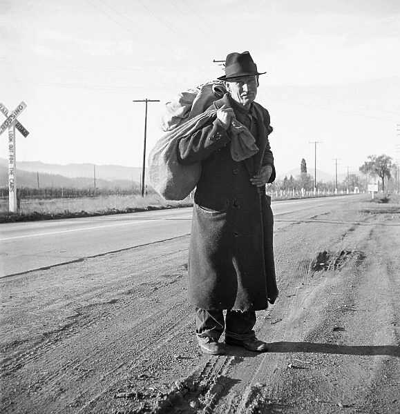 HOBO WORKER, 1938. A homeless man on a road in Californias Napa Valley, traveling