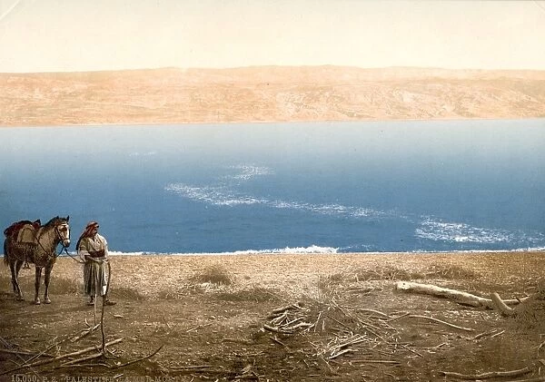 HOLY LAND: DEAD SEA. Man and horse overlooking the Dead Sea. Postcard, c1895
