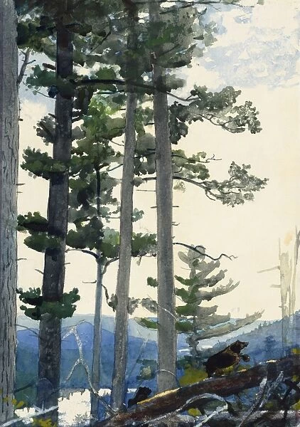 HOMER: OLD SETTLERS, 1892. Watercolor on paper, Winslow Homer, 1892