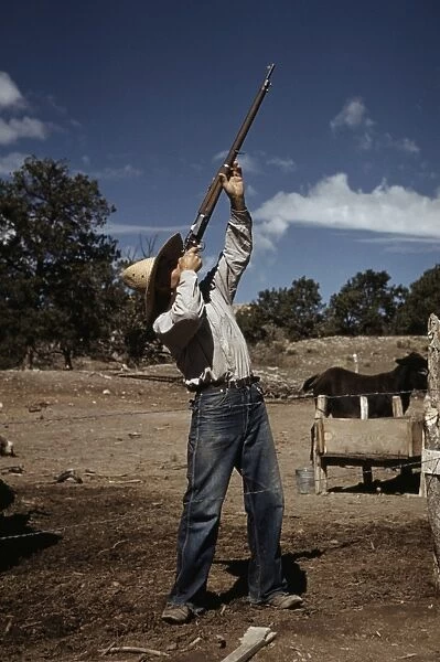 HOMESTEADER, 1940. A homesteader shooting hawks that have been carrying away his